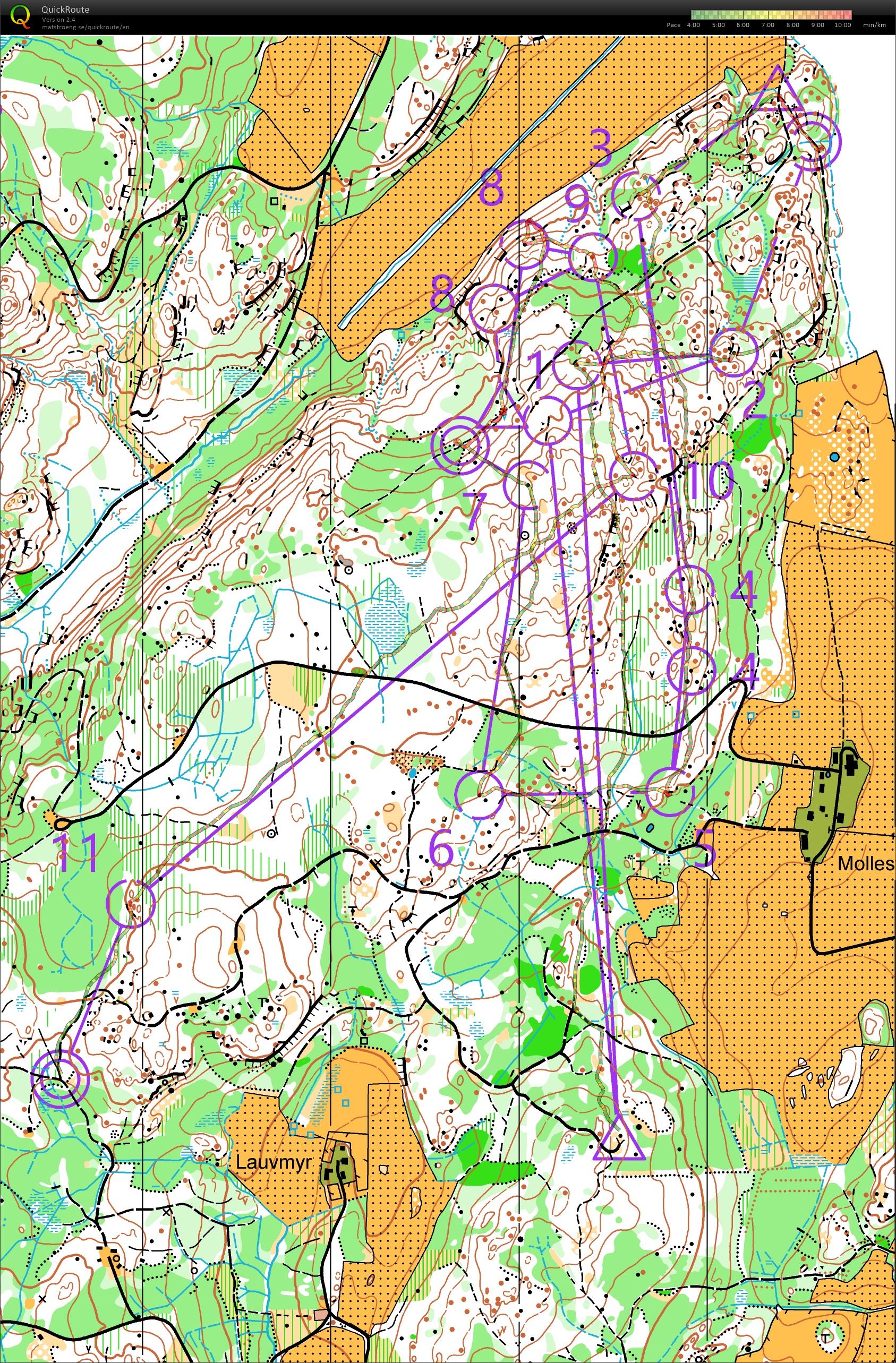 Stafettintervaller Ulvedalen (24/11/2019)