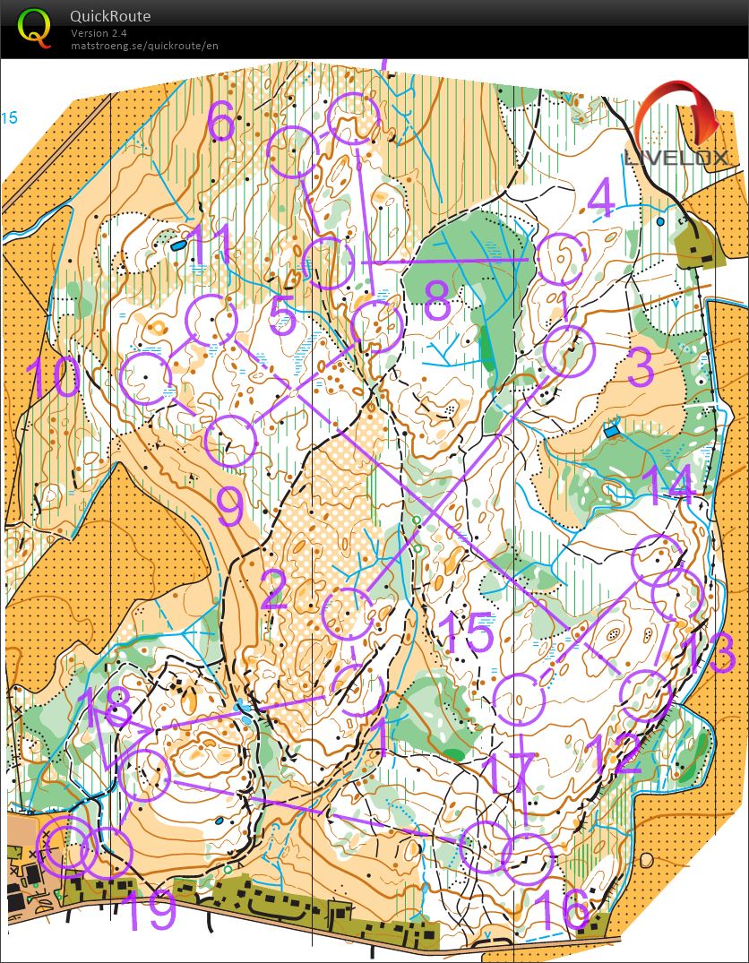 Fokusløp 7 - Berg skole (15.06.2021)