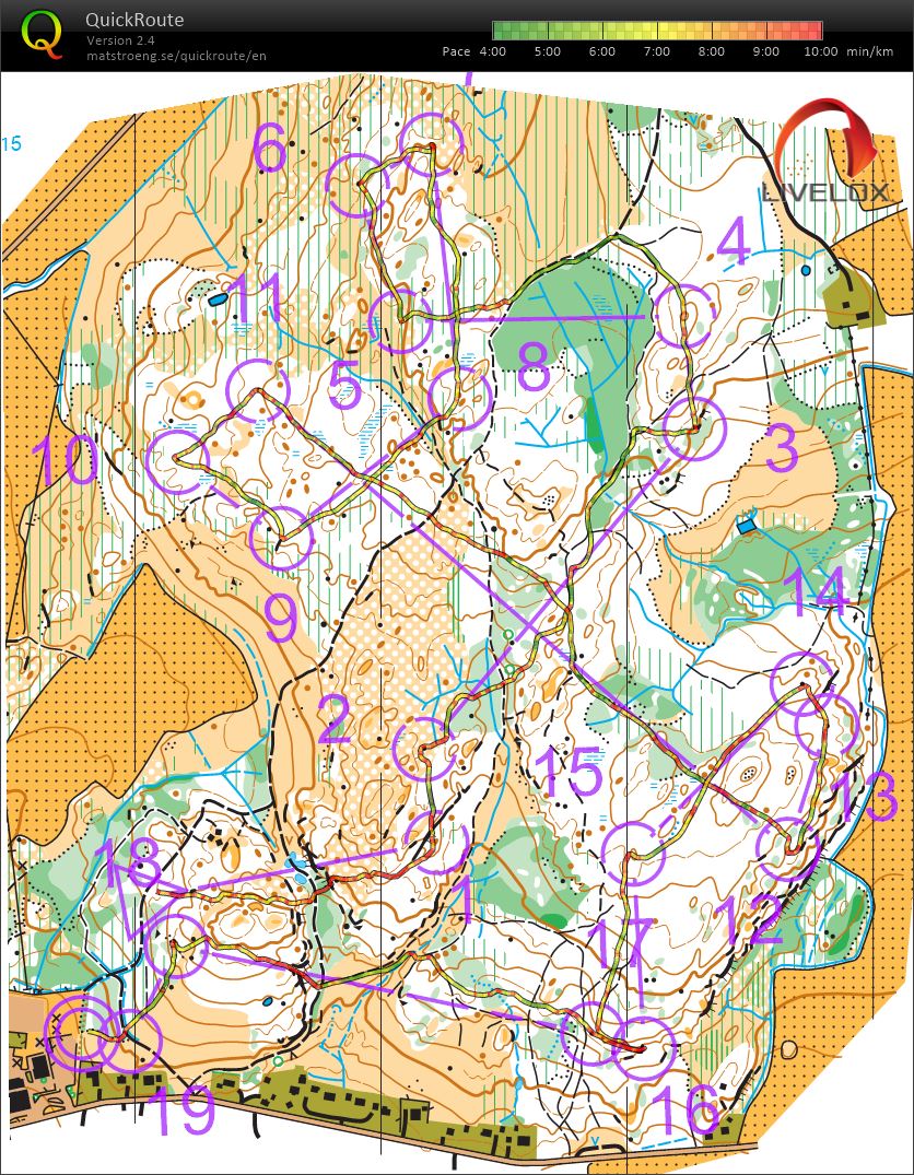 Fokusløp 7 - Berg skole (15.06.2021)