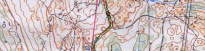 Nattløp i HøstTio (7) 2,6km B-åpen