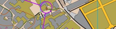 Word Cup Public Race - Sprint H65 (2026-04-26)